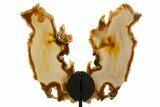 Agate Butterfly Wings - Brazil #322221-1